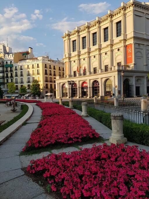 Centro Madrid. Plaza Mayor. Puerta Del Sol. Opera. Apartment Luaran gambar